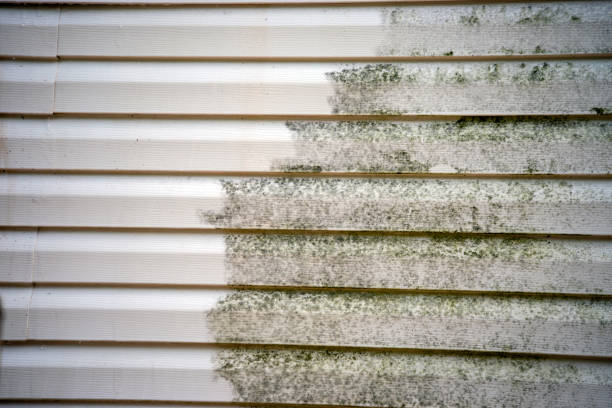 Best Mattress Disposal  in Ligonier, IN