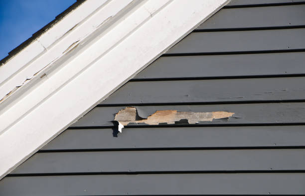 Best Garage Cleanout  in Ligonier, IN